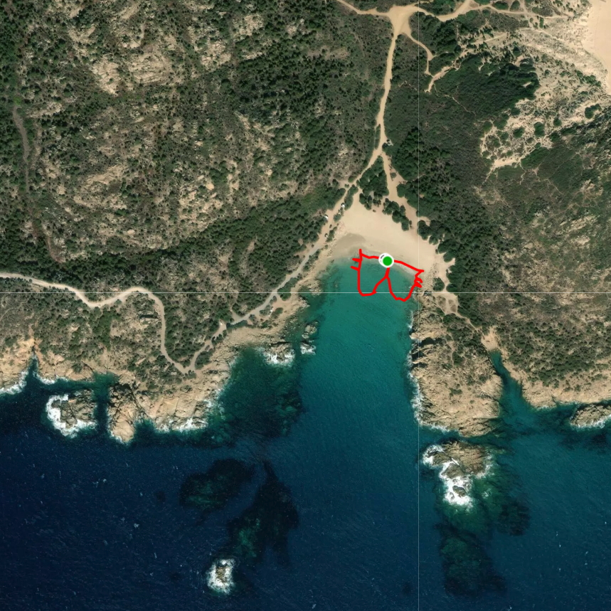 Bitcoin walk in water at Spiaggia di Piscadeddus - zoom out