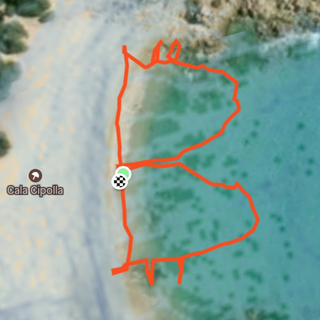 Bitcoin walk in water at Spiaggia di Cala Cipolla