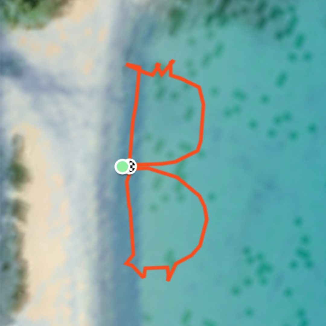 Bitcoin walk in water at Spiaggia di Tuerredda