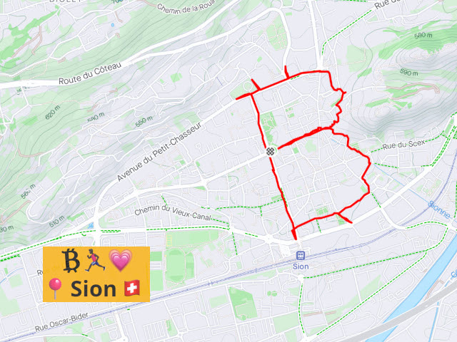 Sion Bitcoin Run