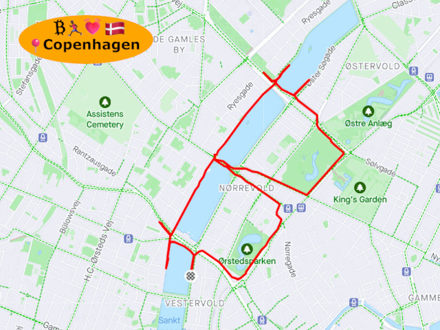 Copenhagen Bitcoin Run