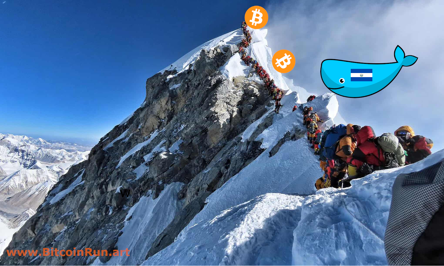 Bitcoin Run Bern Statistics