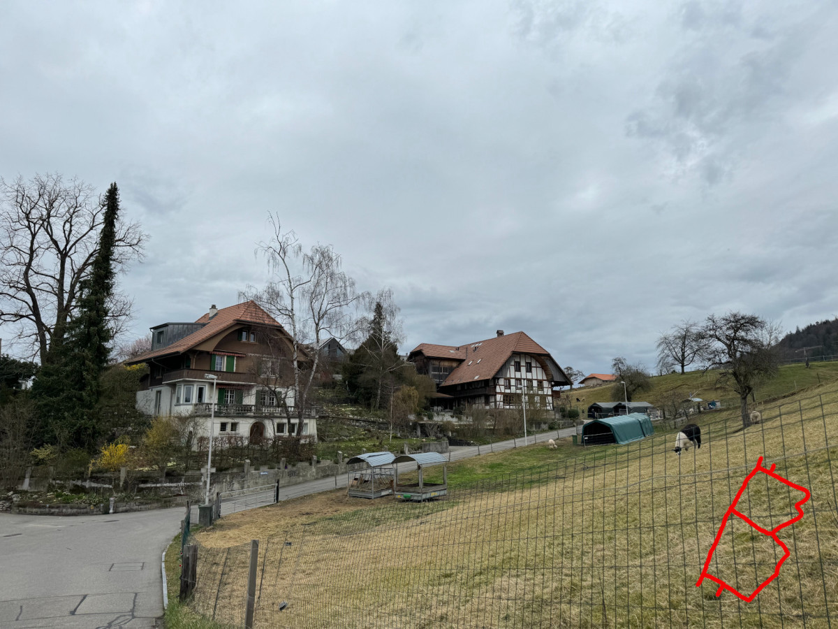 Bernese house and farm