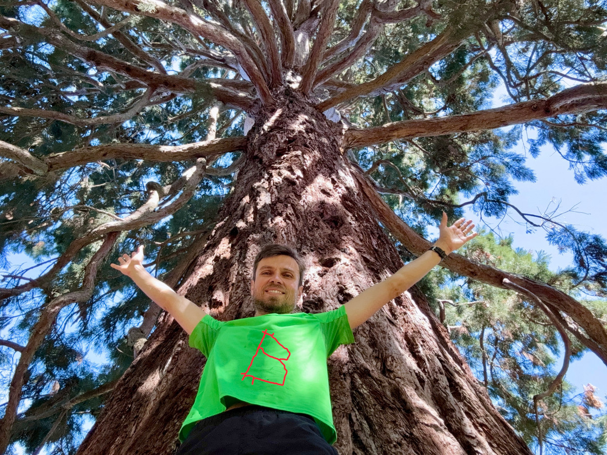 Big tree ๐ณ