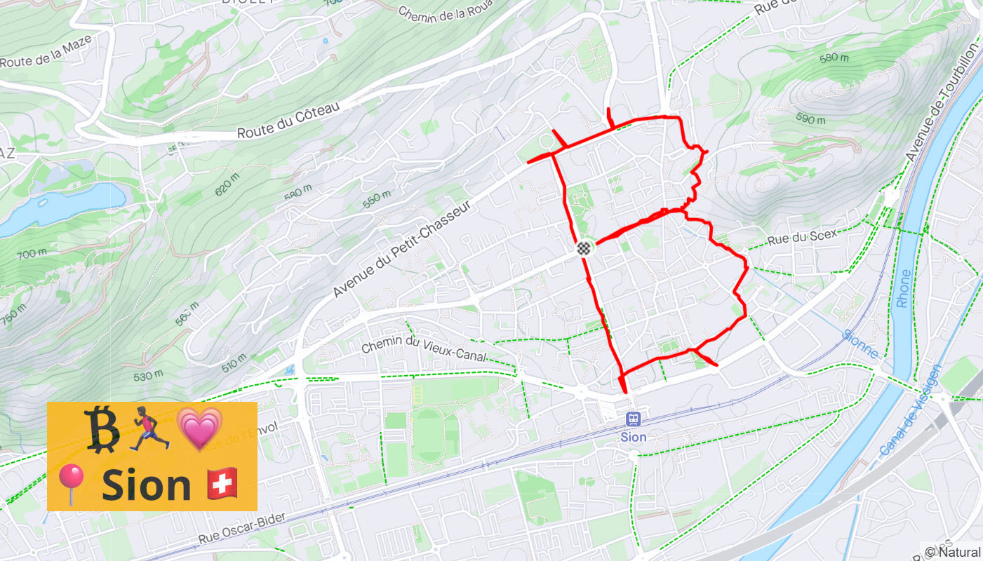 Sion Bitcoin Run Strava Art