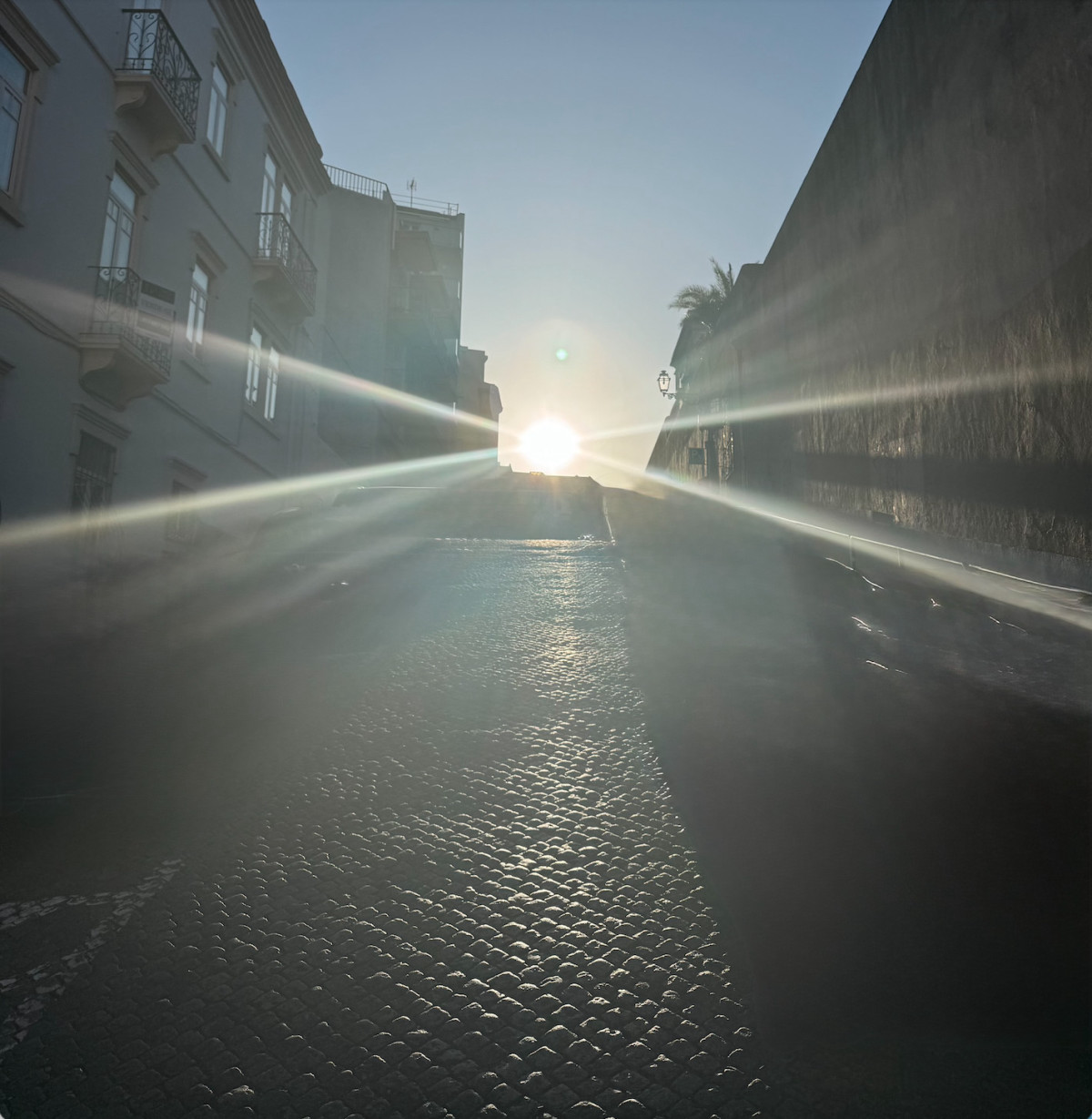 Sun rising up the street