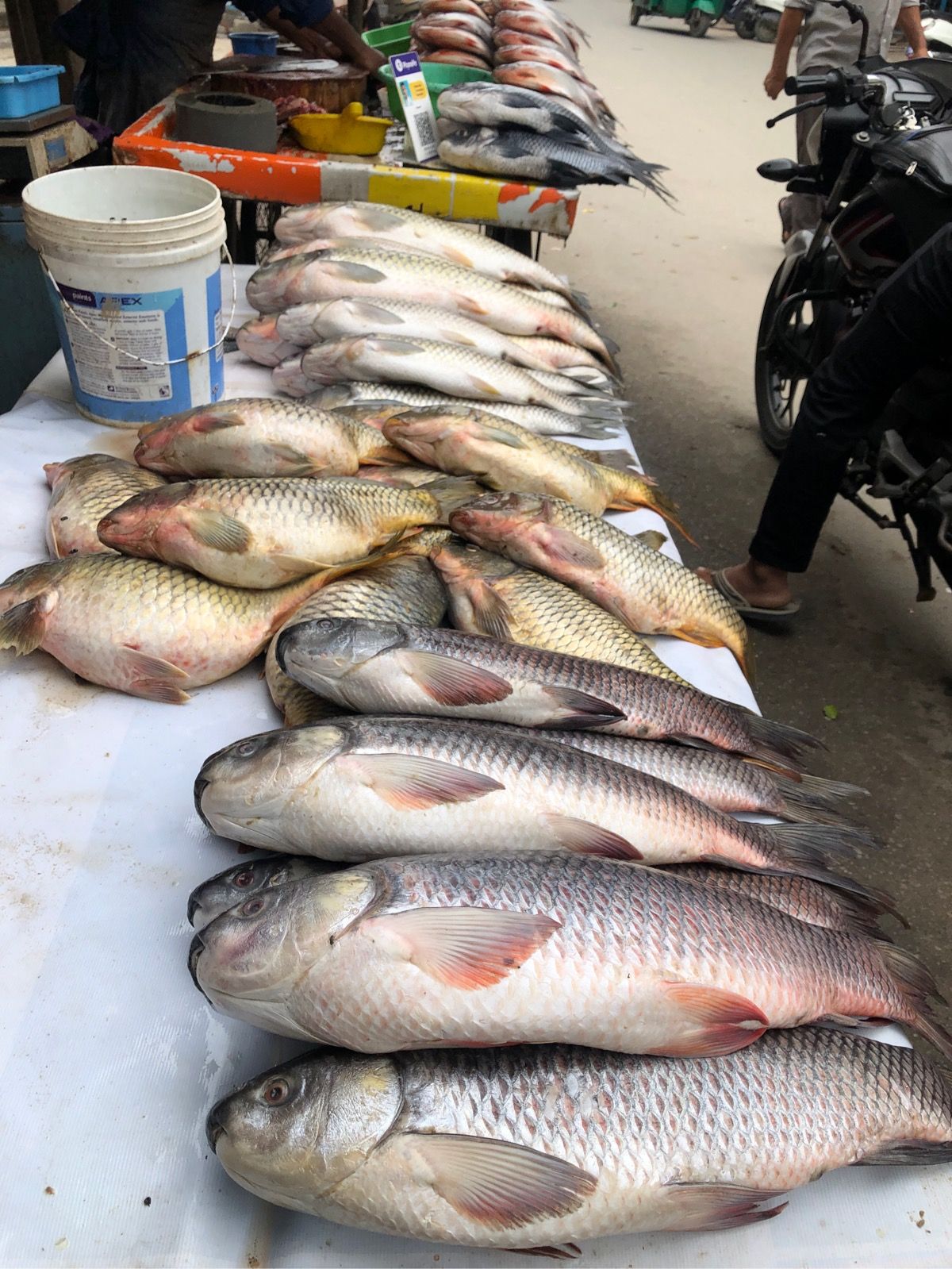 Street fish market