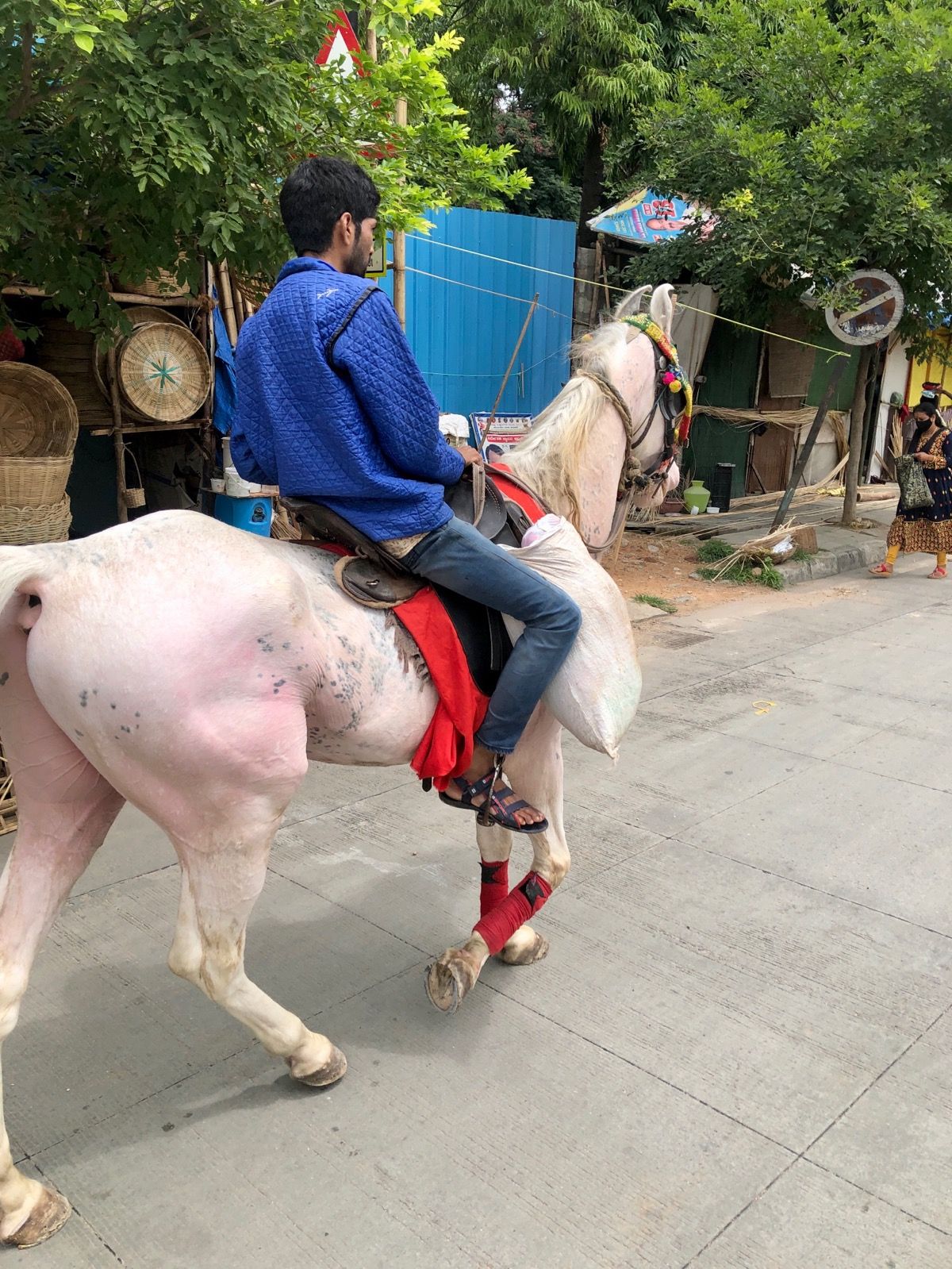 Horse mobility
