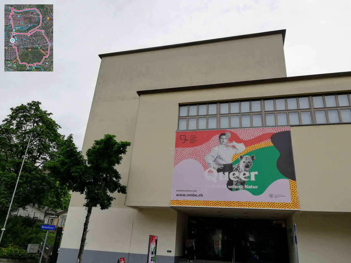 Bern Natural History Museum