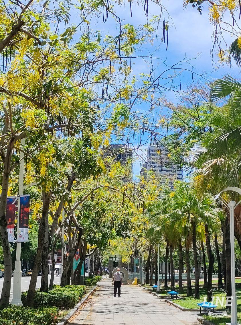 Kaohsiung park