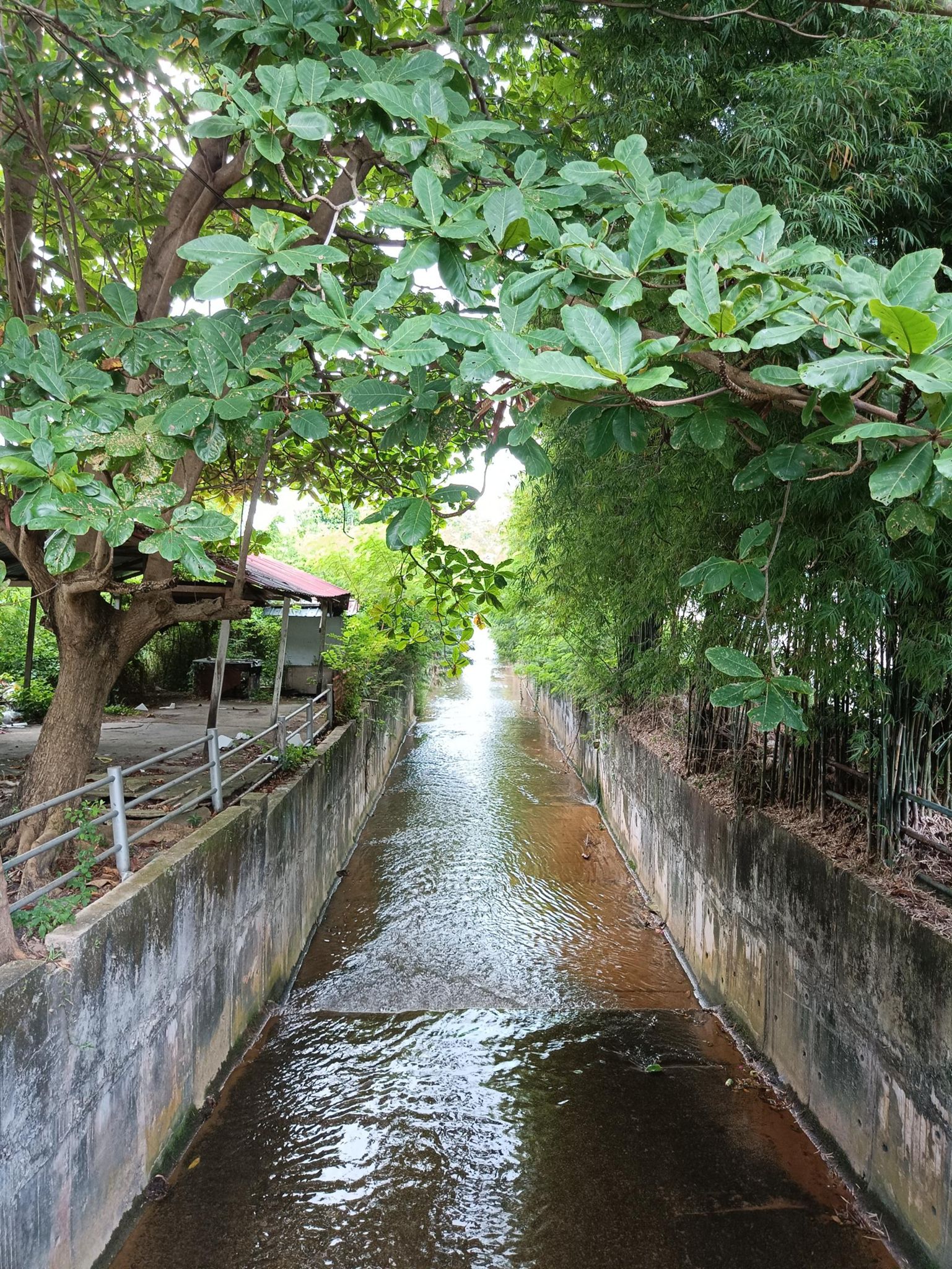 Endless small water channel