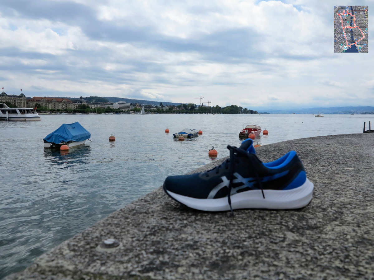 Running shoe with lake Zürich in background
